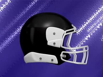 Baltimore Ravens