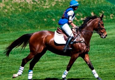 Liverpool International Horse Show 2019